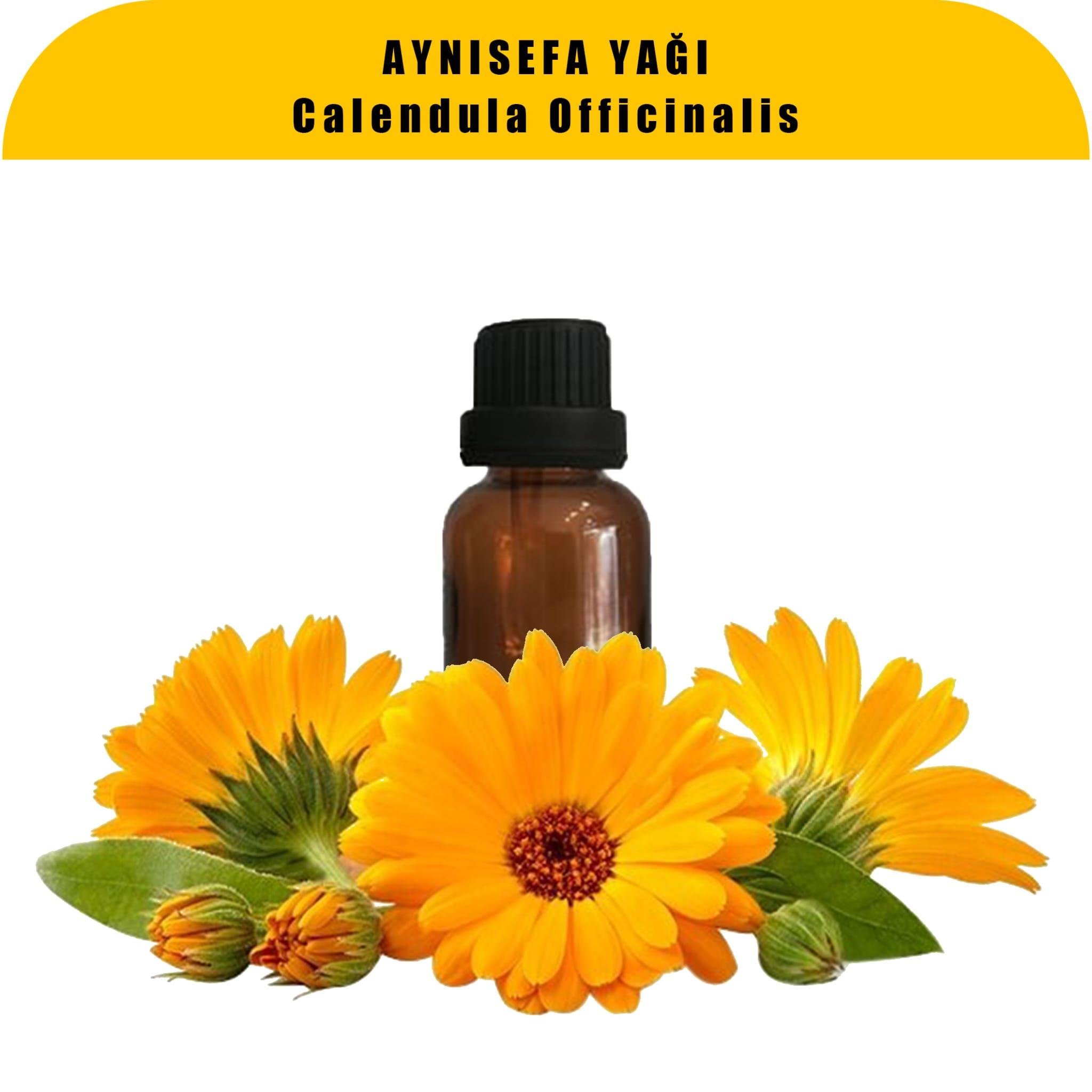 Aynısefa Yağı – Calendula Oil