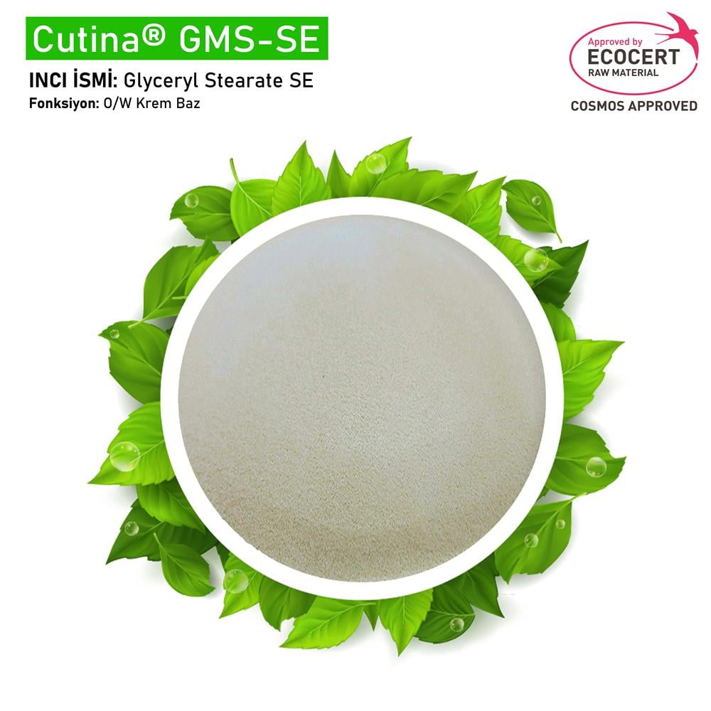 Gliseril Stearat Se (Cutina® GMS-SE)