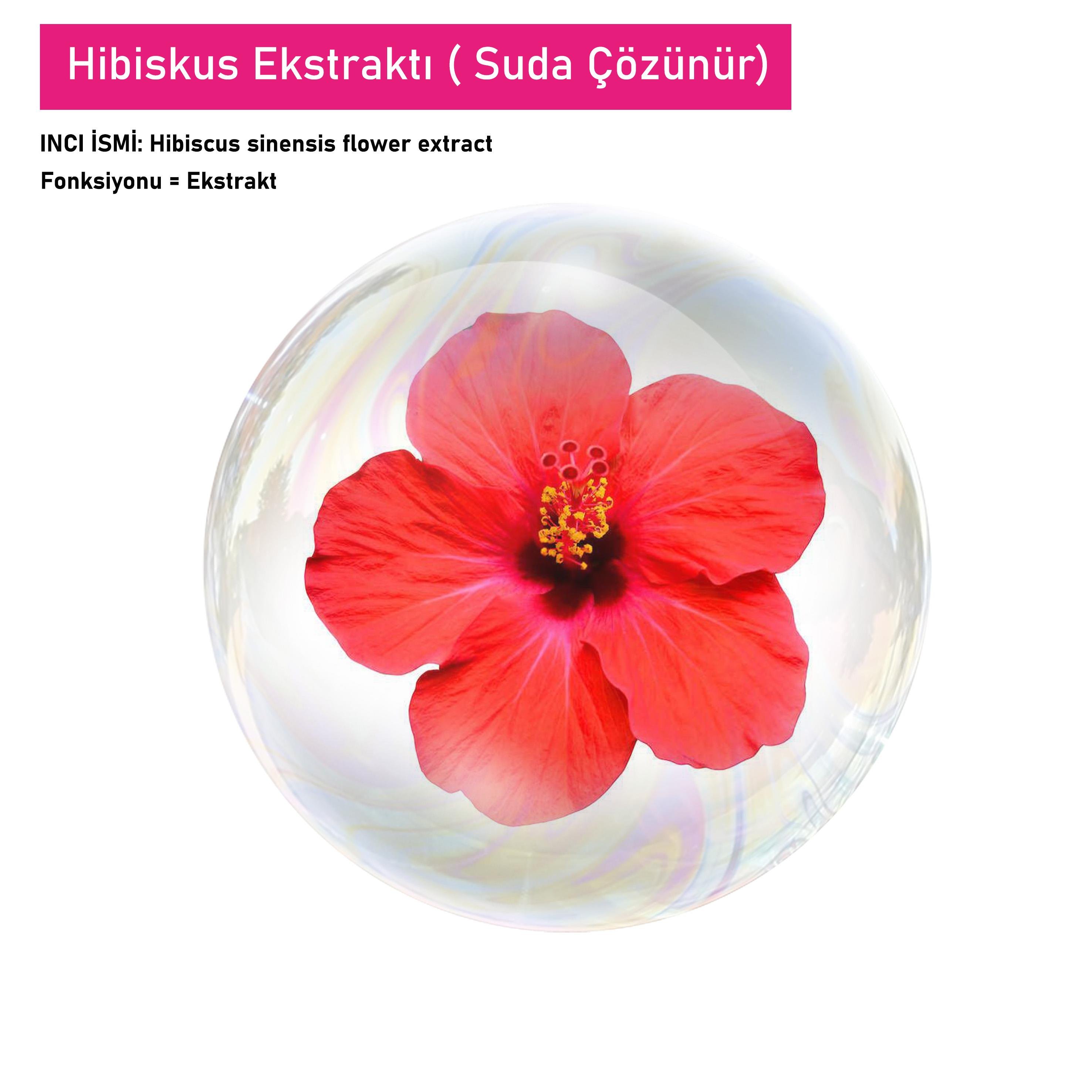 Hibiskus Ekstraktı ( Suda Çözünür)