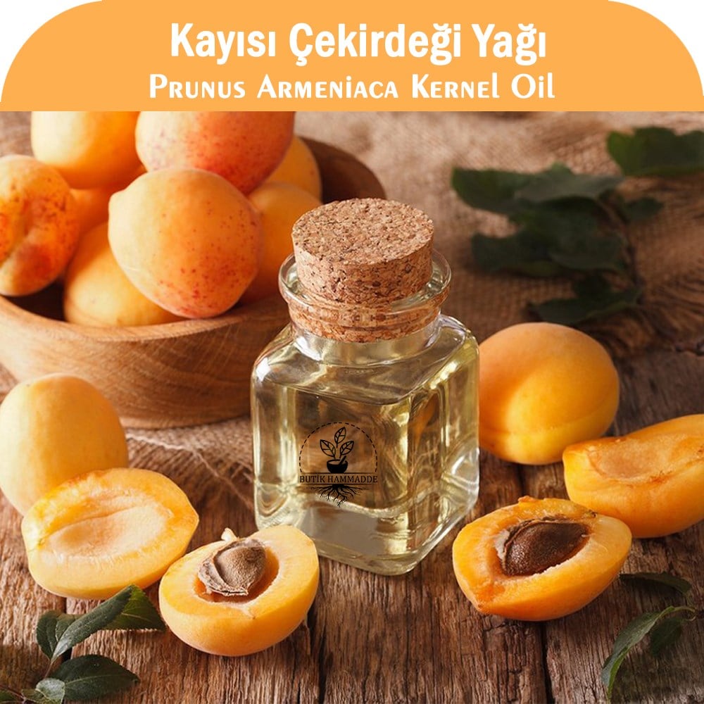 Kayısı Çekirdeği Yağı