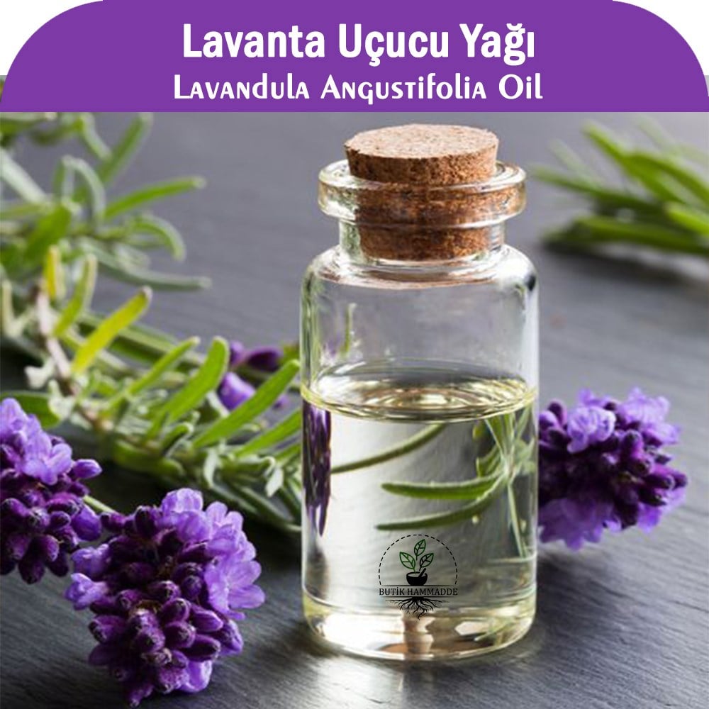 Lavanta Uçucu Yağı