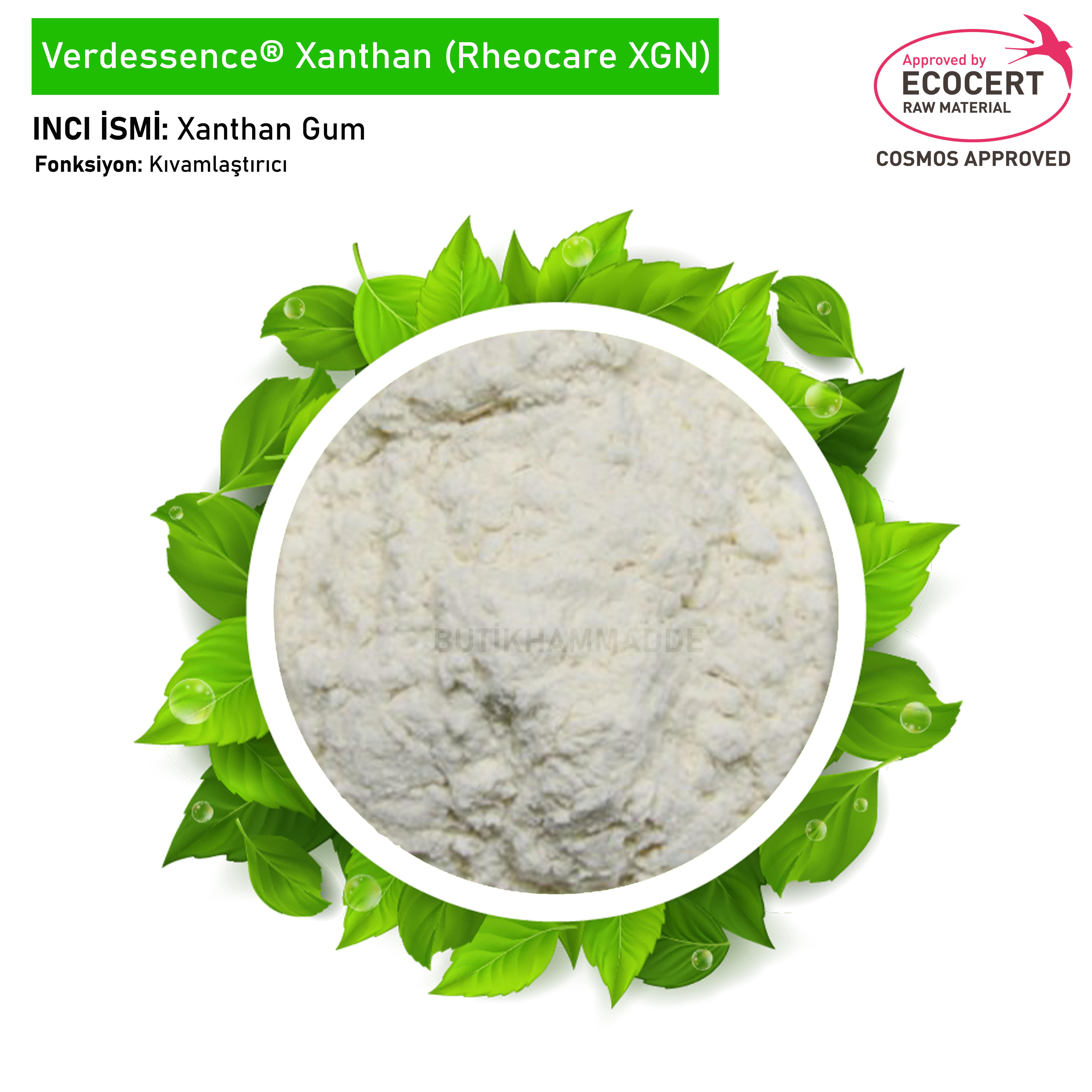 Verdessence Ksantan Sakızı (Rheocare XGN)