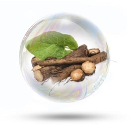 Dulavrat Otu Özü (Suda Çözünür)