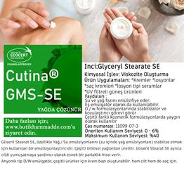 Gliseril Stearat Se (Cutina® GMS-SE)