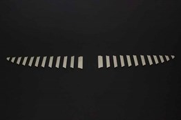 OMSA Mitsubishi Colt Krom Ön Panjur 24 Parça 2005-2008 Arası