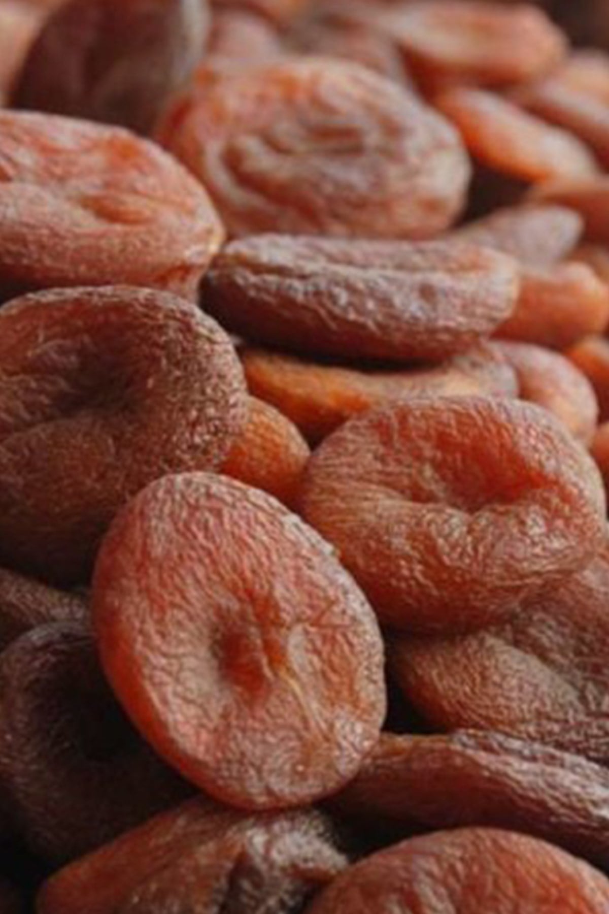 EKSTRA JUMBO GÜN KURUSU KAYISIKURUYEMİŞ