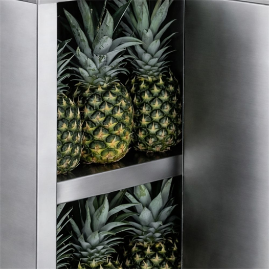 Cancan Ananas Soyma ve Dilimleme Makinesi Standı