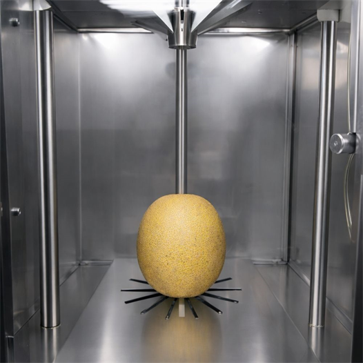 Cancan Pnömatik Endüstriyel Kavun Dilimleme Makinesi – CAN 1309