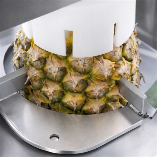 Cancan Pnömatik Endüstriyel Standlı Ananas Soyma Makinesi – CAN 0809