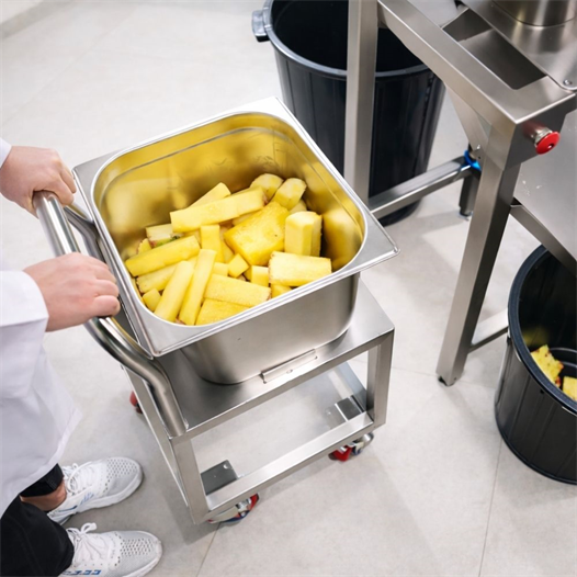 Cancan Pnömatik Endüstriyel Standlı Ananas Soyma Makinesi – CAN 0809