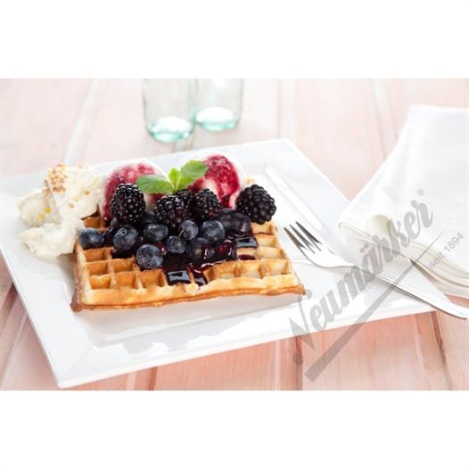 Glanz Neumarker Kant Waffle Plakası