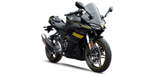 Voge 250RR Sport Racing 