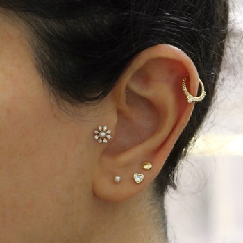 Altın Piercing – Deniz Kabuğu