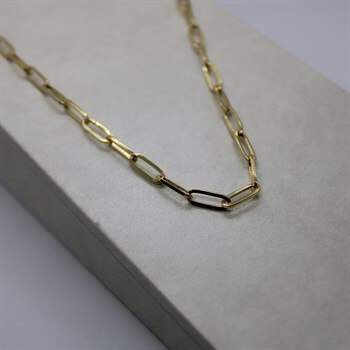 Altın Zincir Kolye – Link