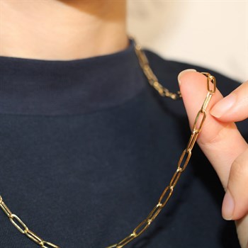 Altın Zincir Kolye – Link