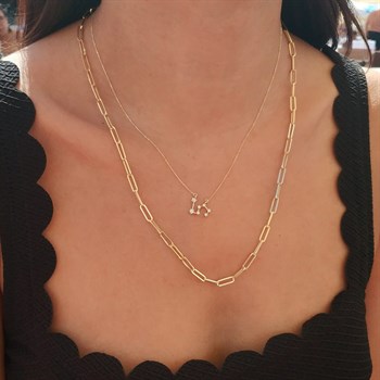 Altın Zincir Kolye – Link