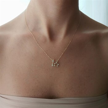 Aslan Burcu Zodiac Altın Kolye