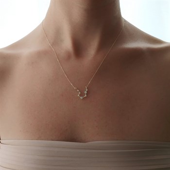Kova Burcu Zodiac Altın Kolye