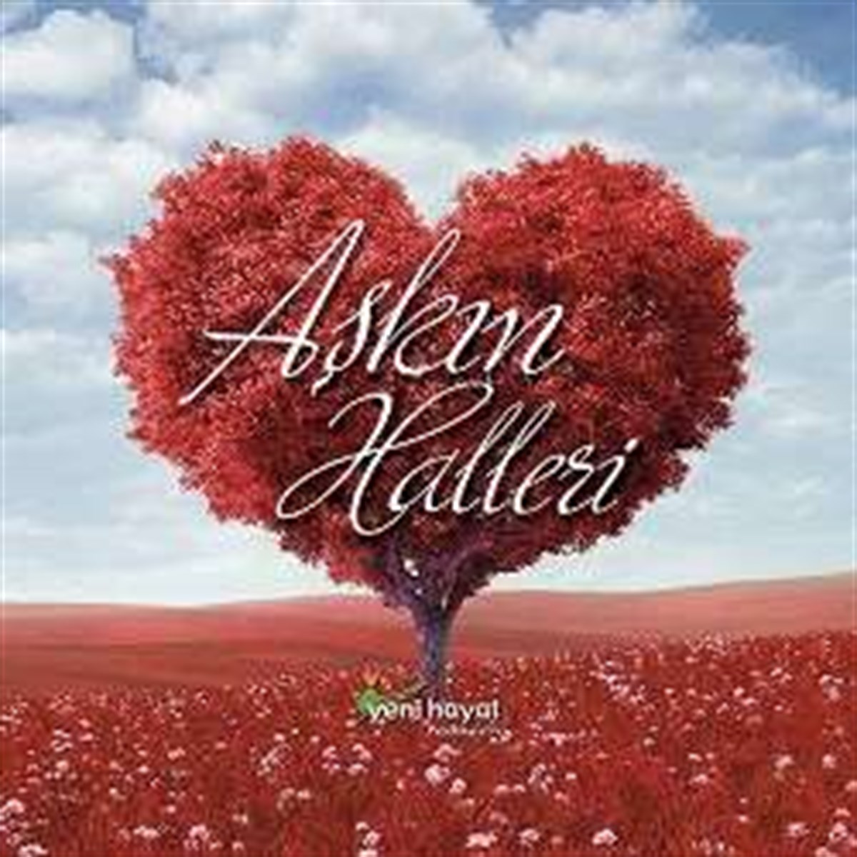 Aşkın Halleri D.Ali Erzincanlı Fatih Koca Ender Doğan