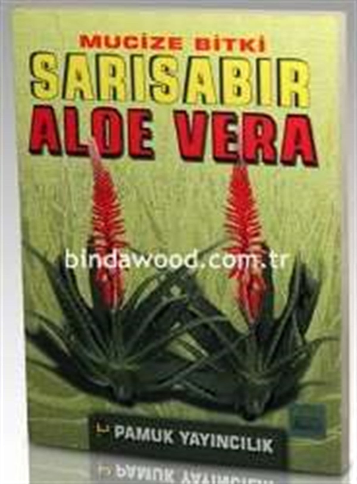 Mucize Bitki Sarı Sabır Aloe Vera Bitki 017