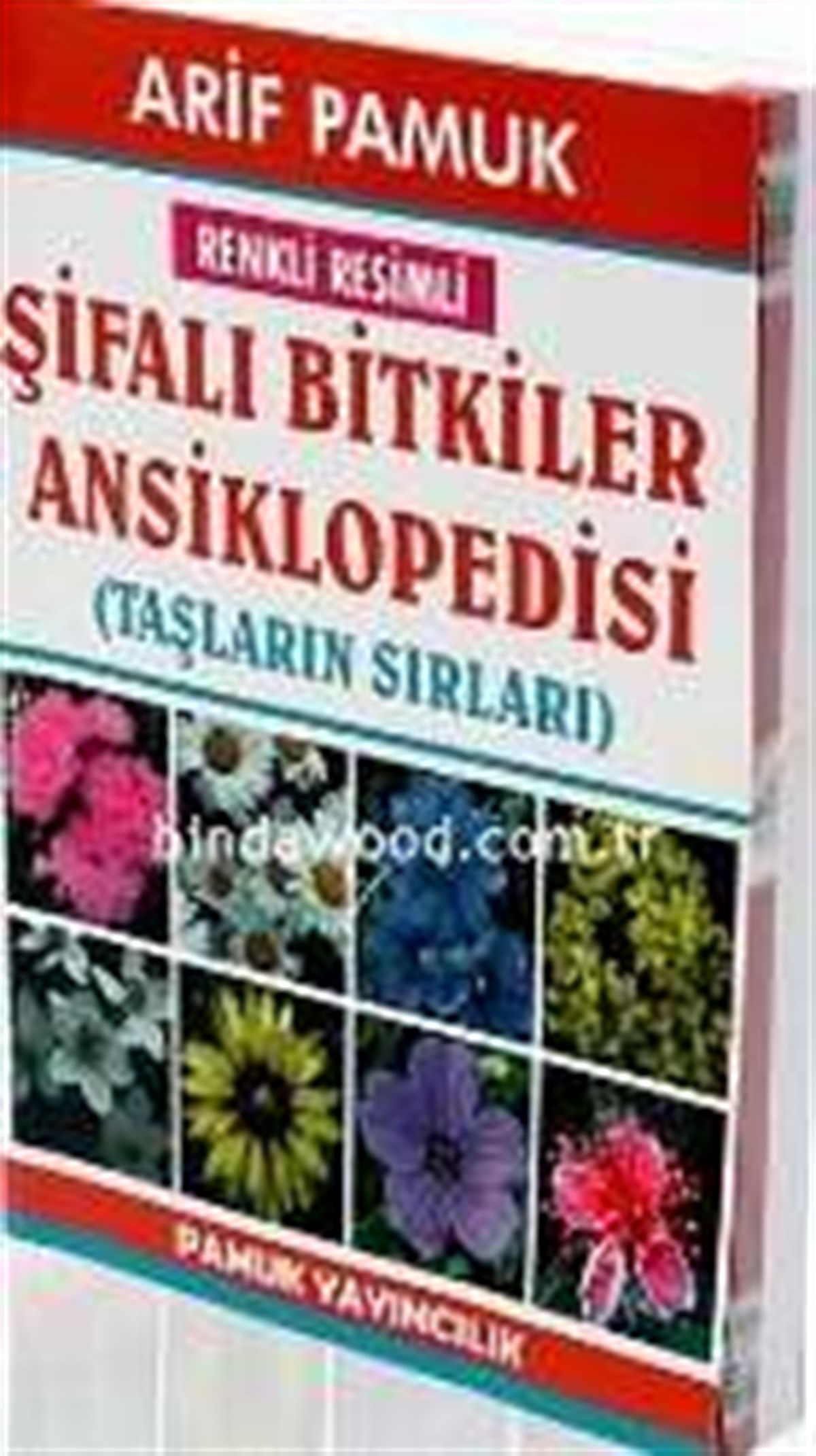 Renkli Resimli Şifalı Bitkiler Ansiklopedisi Arif Pamuk Bitki 022