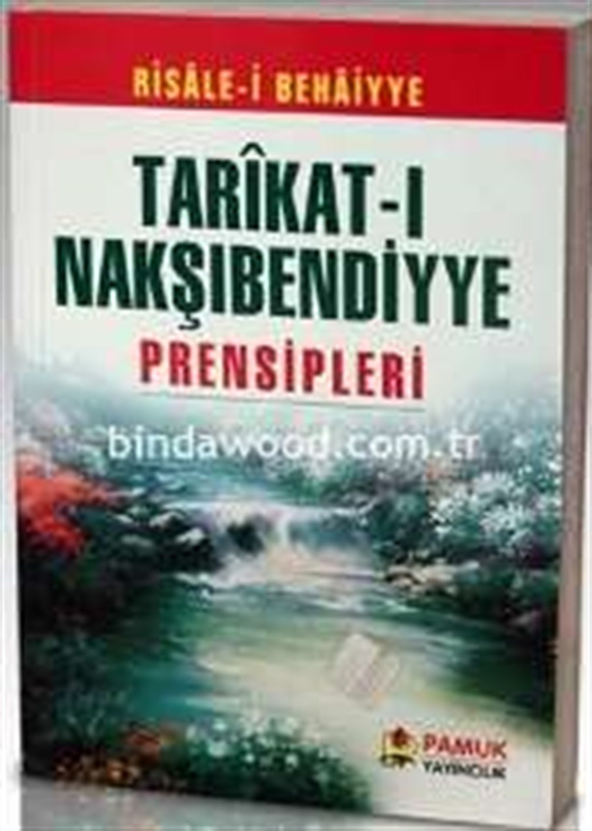 Tarikatı Nakşıbendiyye Prensipleri Tasavvuf 006