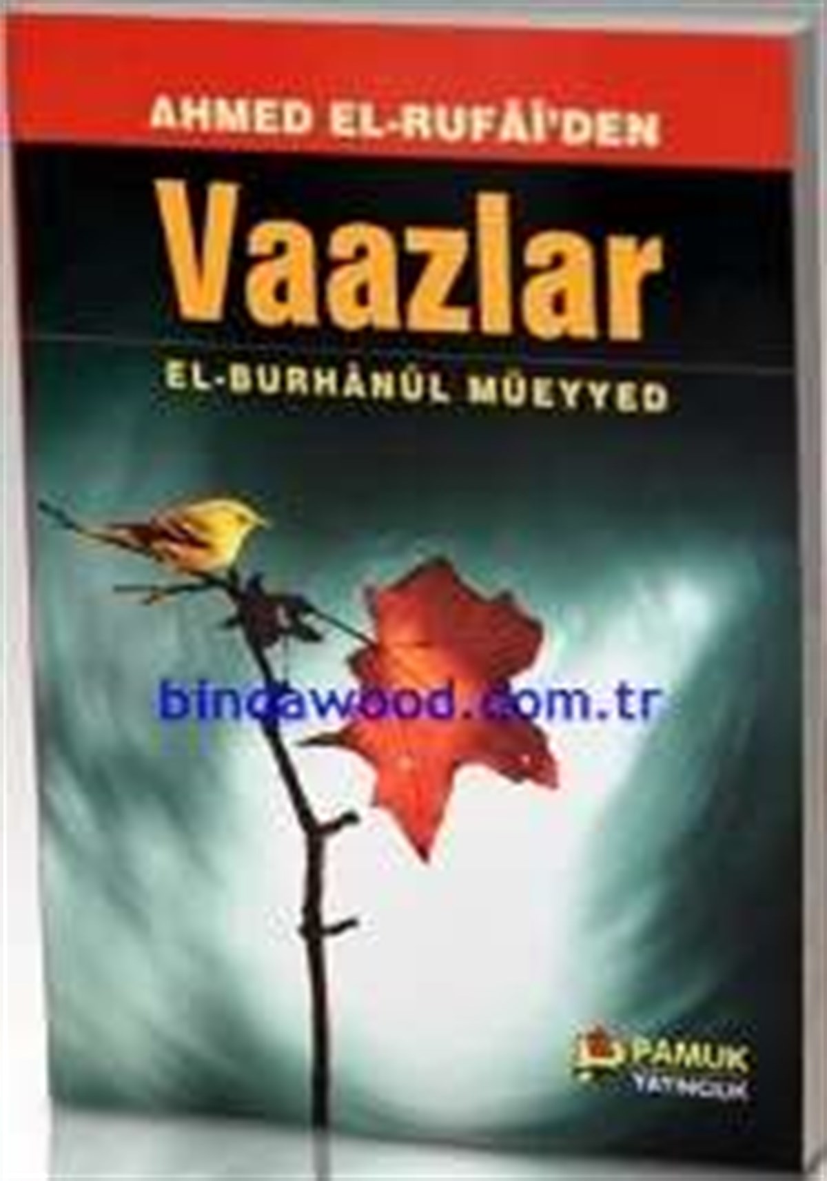 Ahmet Er Rufai Hazretlerinden Vaazlar El Burhanül Müeyyed Tasavvuf 003
