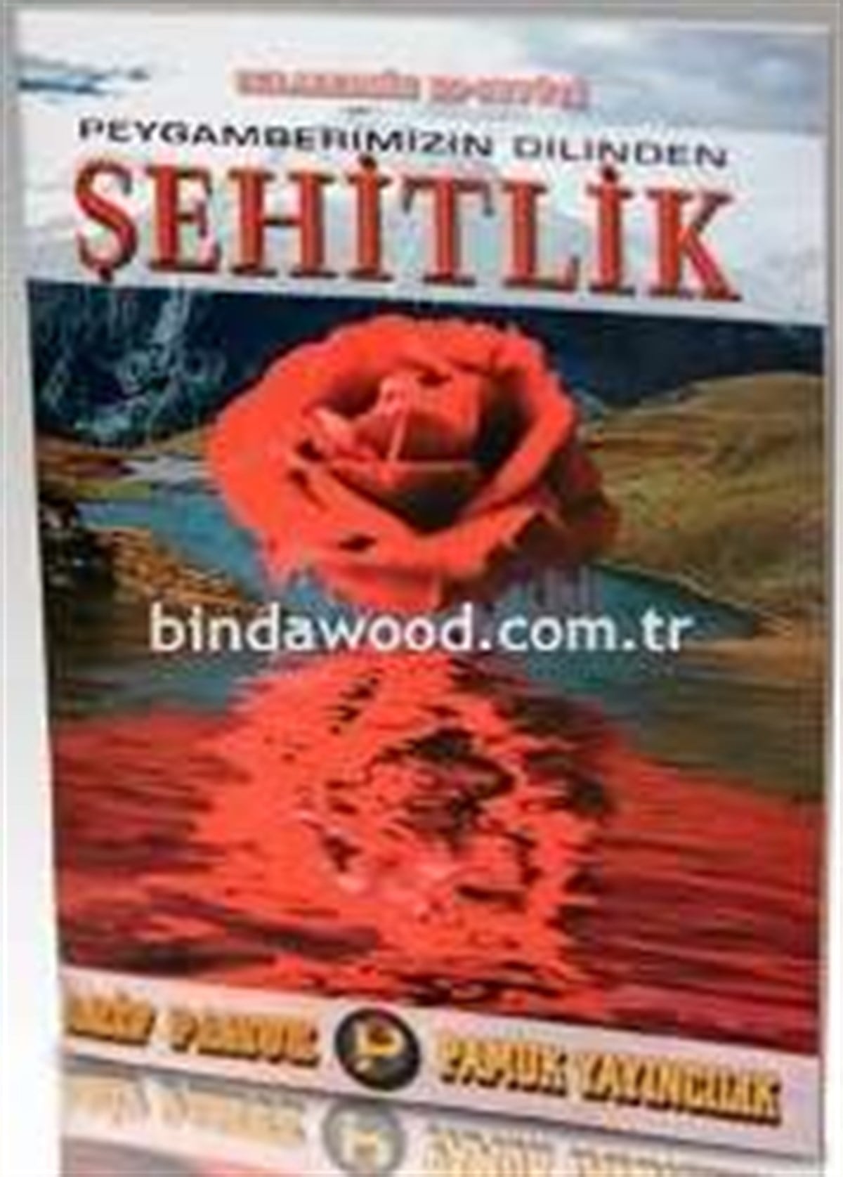 Peygamberimizin Dilinden Şehitlik Hadis 008