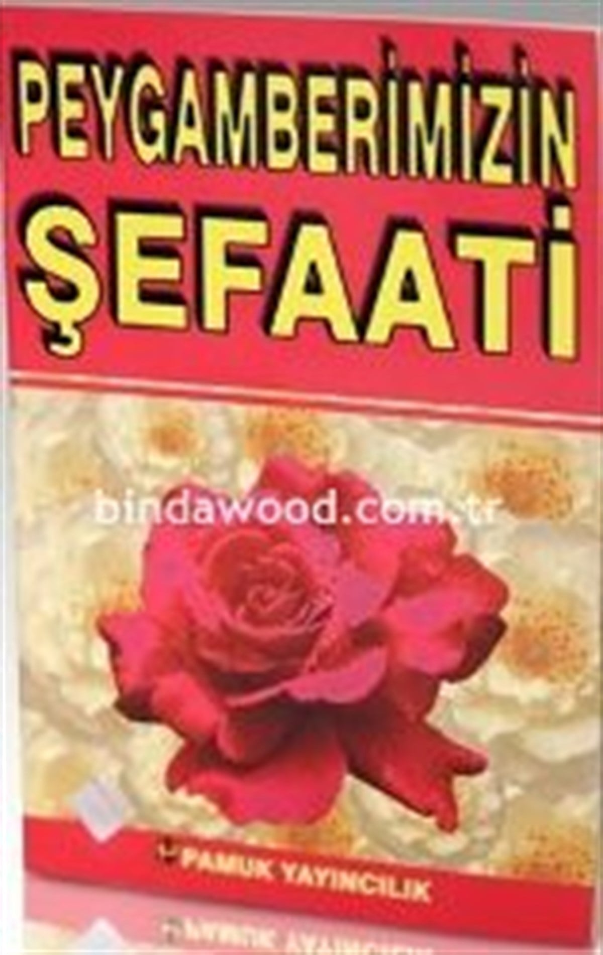 Peygamberimizin Şefaati Peygamber 005