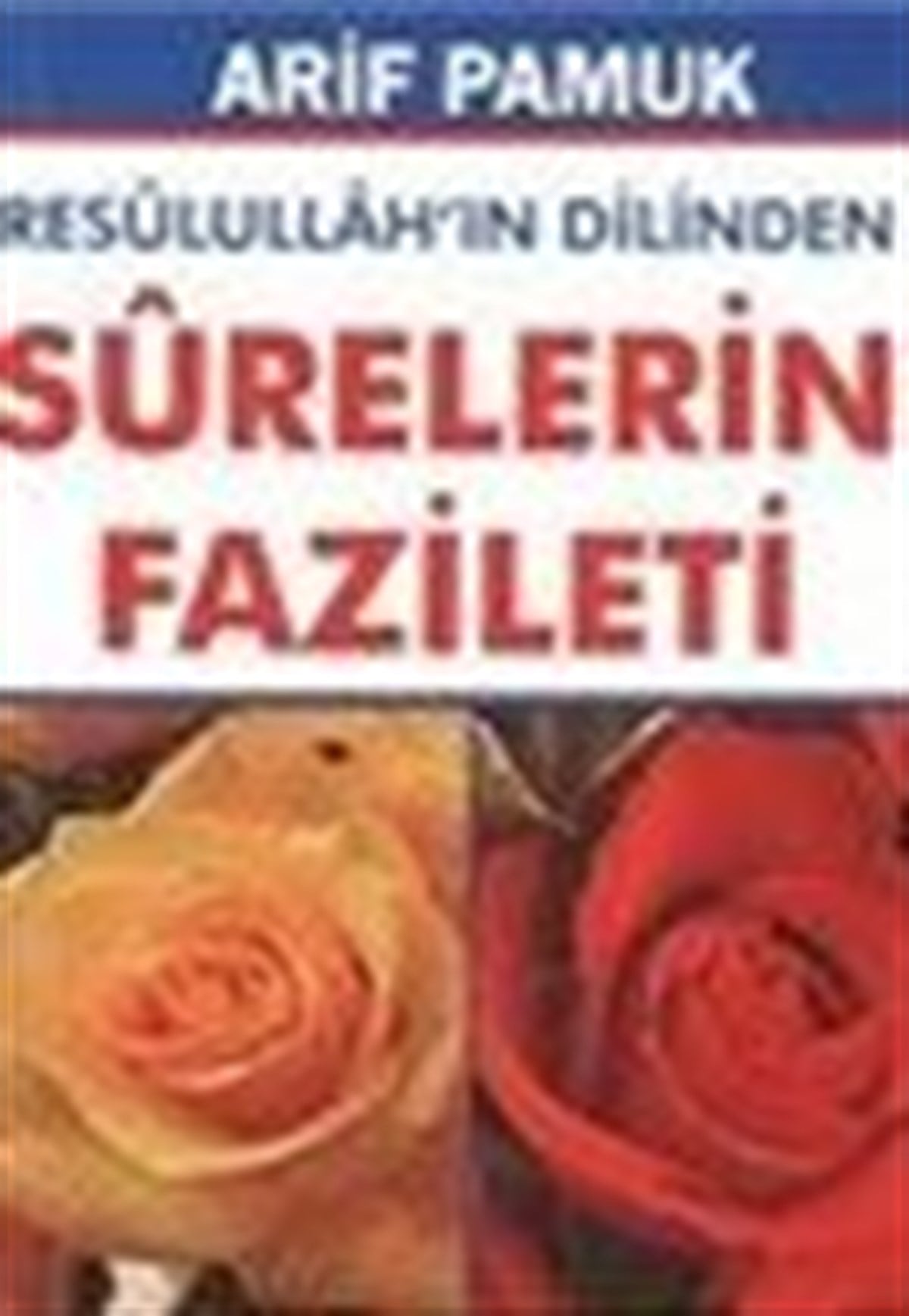 Resulüllah ın Dilinden Surelerin Fazileti Dua 105