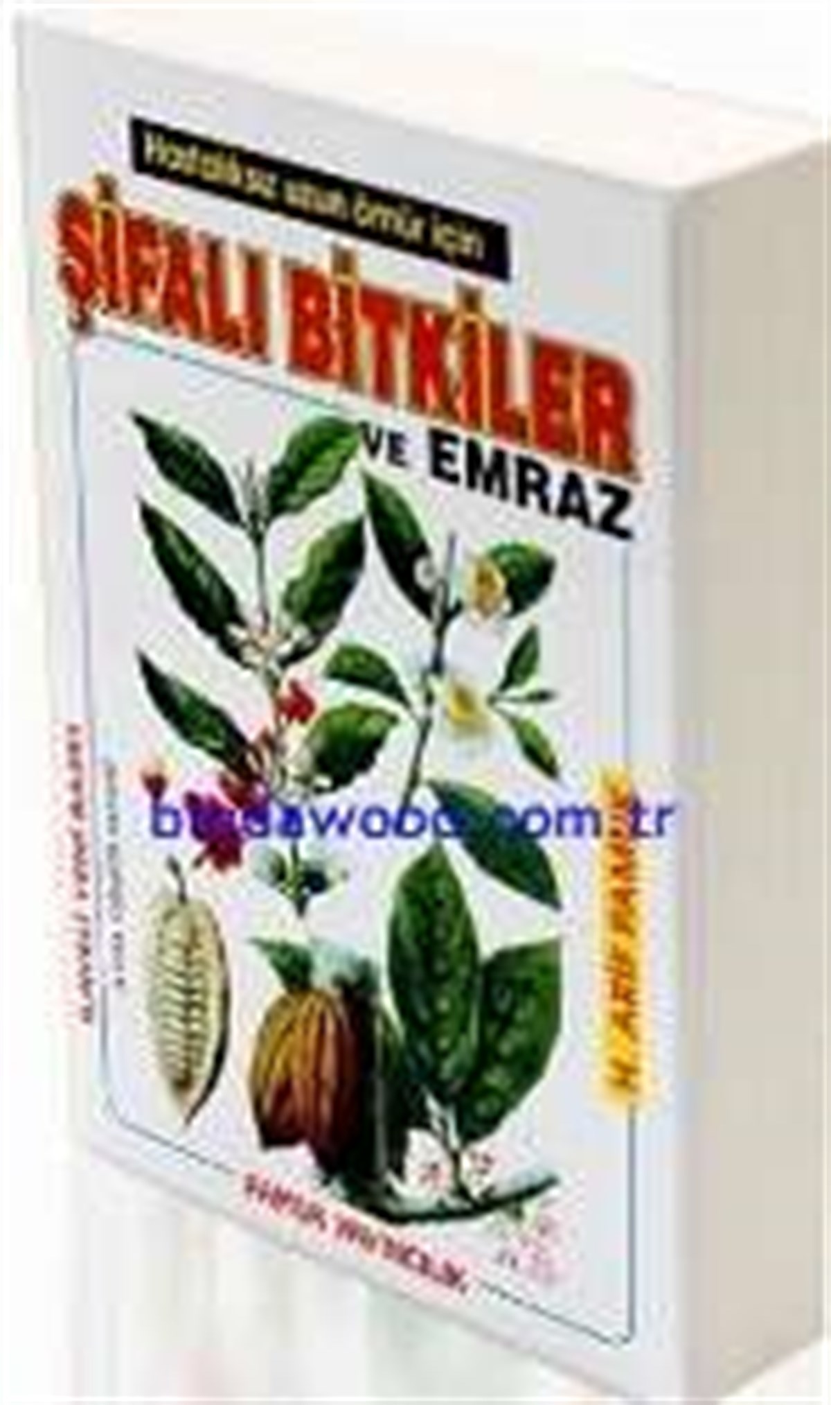 Şifalı Bitkiler ve Emraz Arif Pamuk Bitki 002