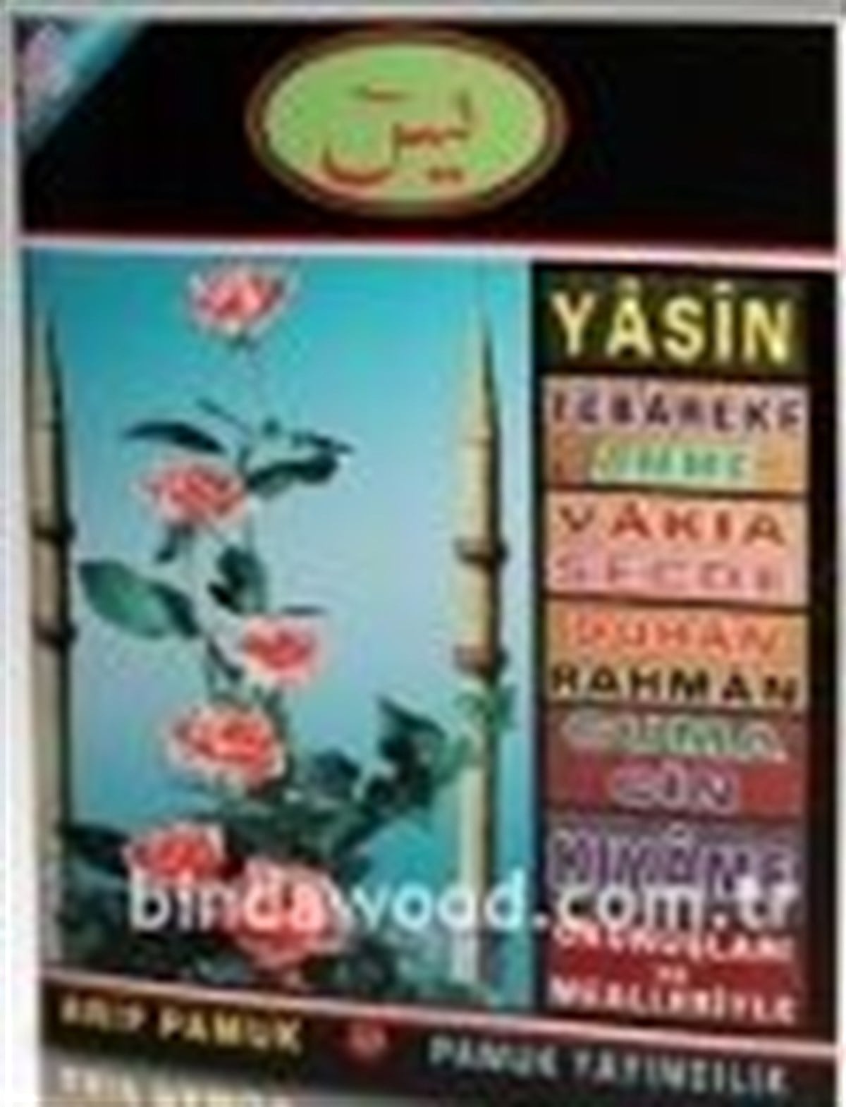 Yasin Tebareke Amme Cin Sureleri Mealli Yasin 068