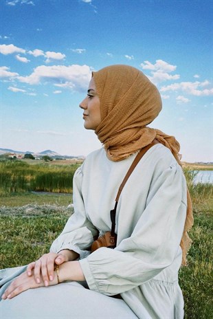 Aybüke Nur Demirci Bürümcük Hardal