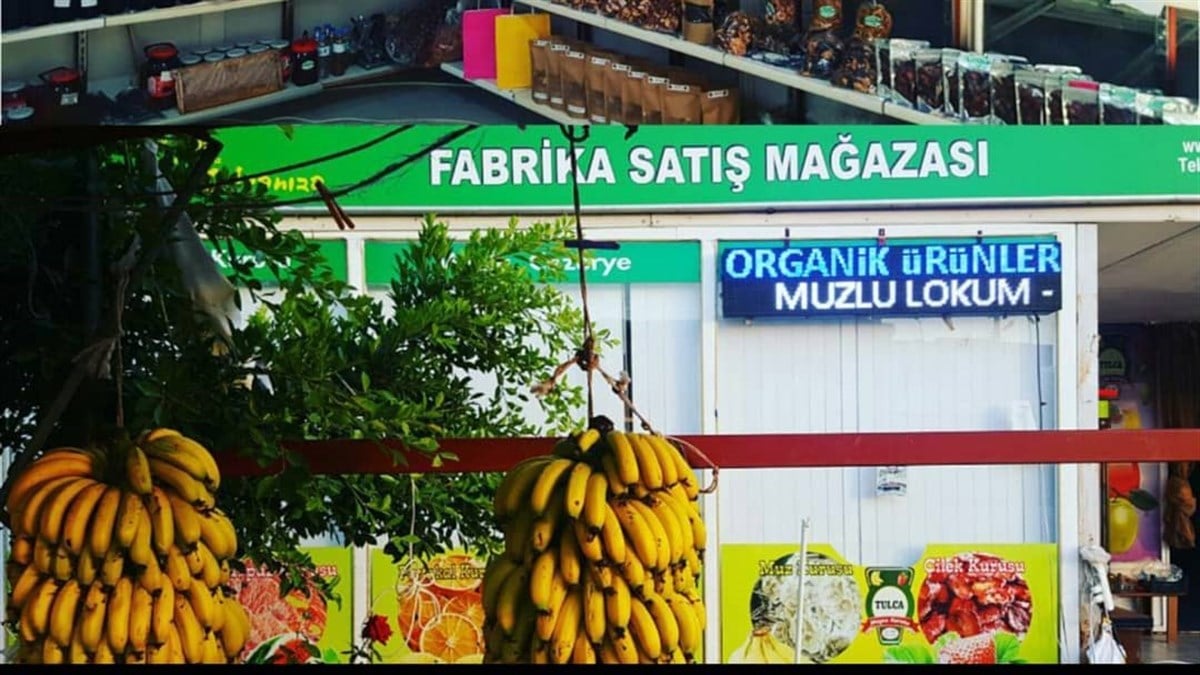Muz Kasası (14 kg) Anamur Muzu