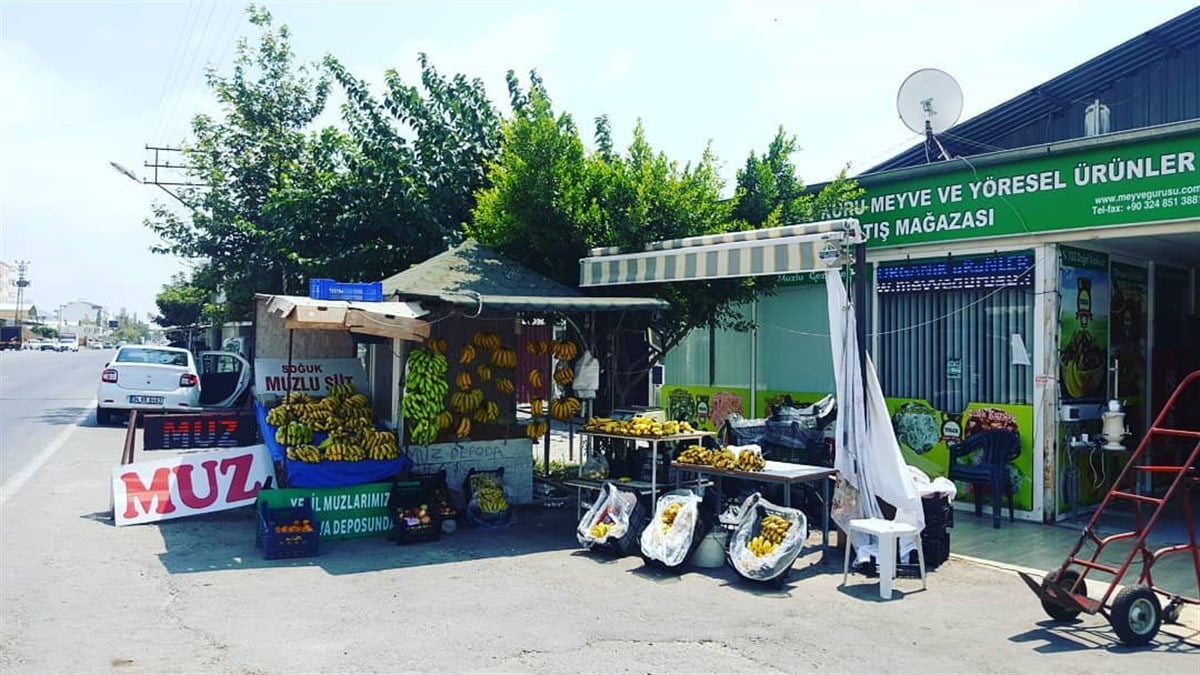 Yöremizden Anamur Muzu