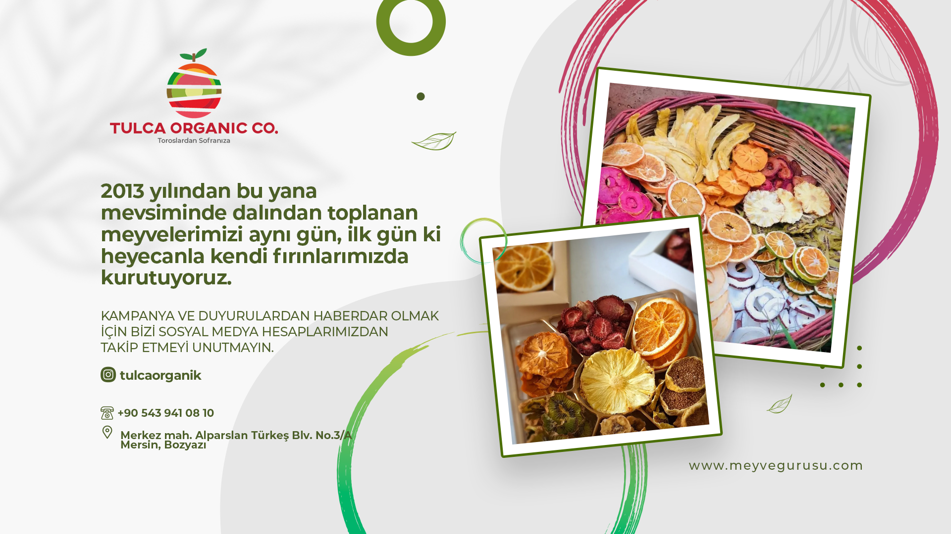 Organik Meyve Kurusu