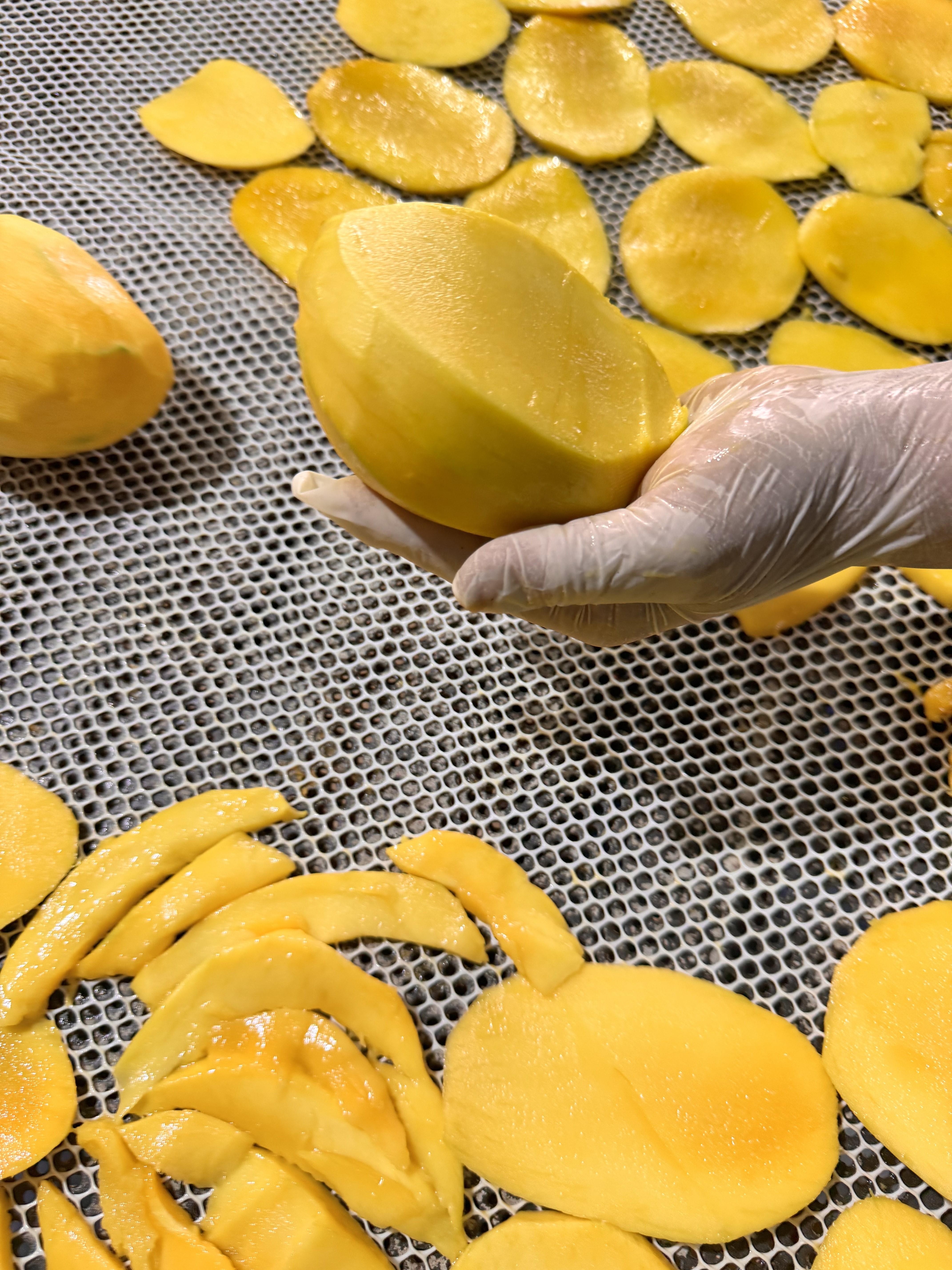 Mango Kurusu 100 Gr