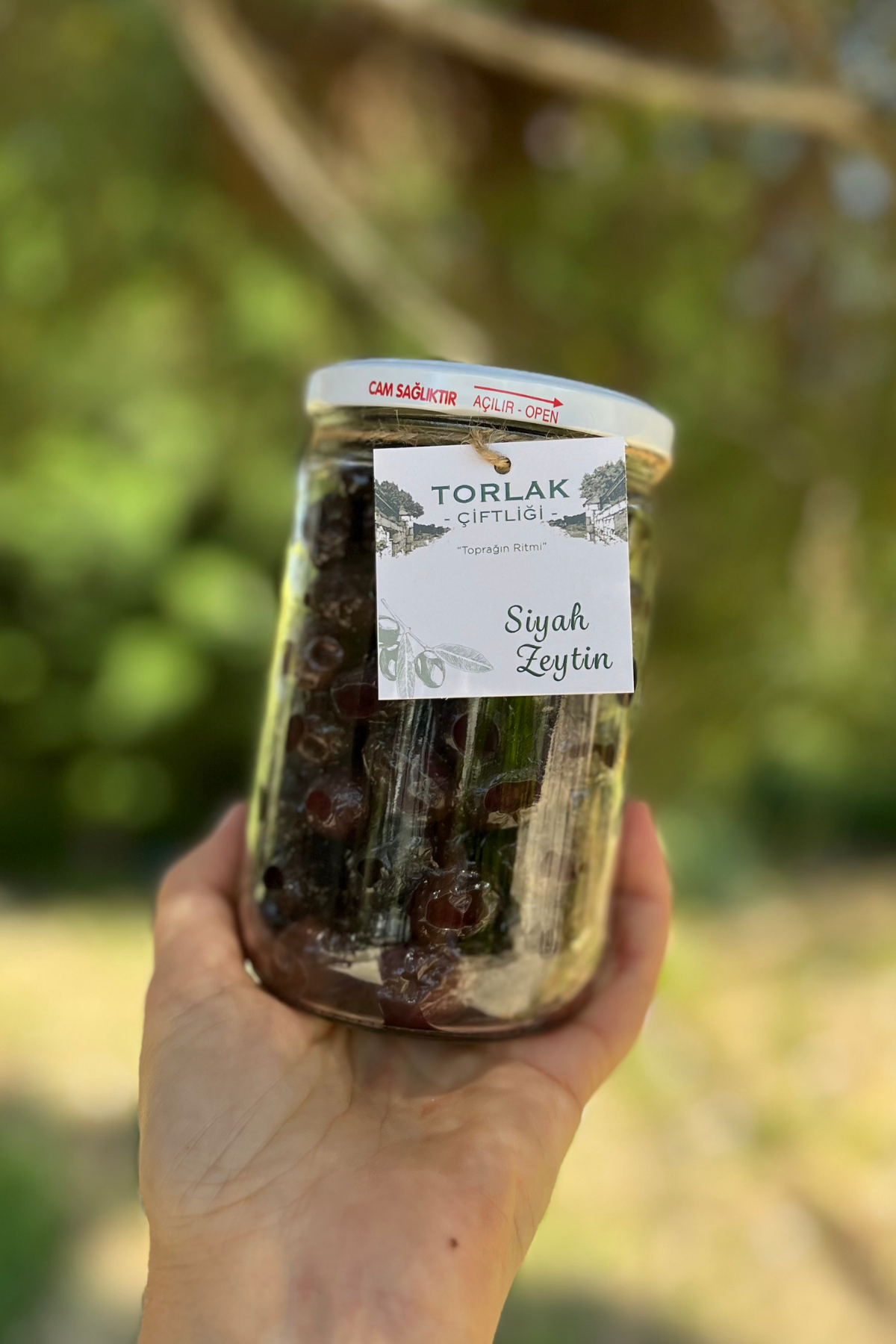 Torlak Çiftliği Siyah Zeytin