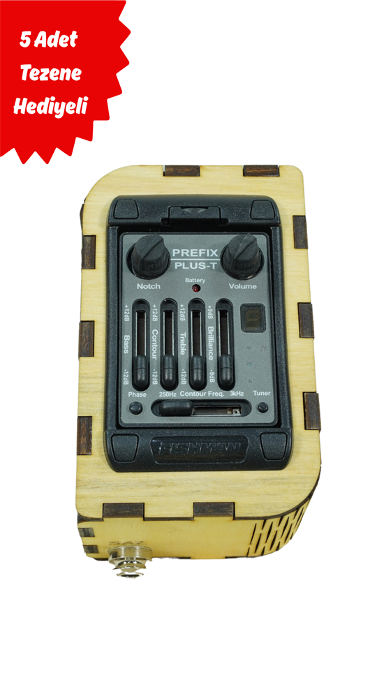fishman prefix plus t