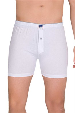 BERRAK 1099 ERKEK RENKLİ BOXER