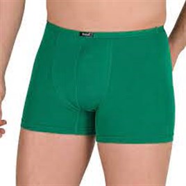 BERRAK 4488 ERKEK MODAL BOXER