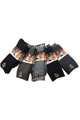 DÜNDAR 7019 THERMAL ERKEK ÇORAP