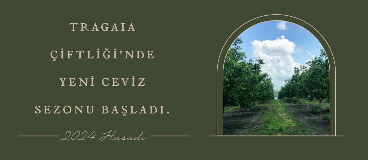 TEMİZ GIDA