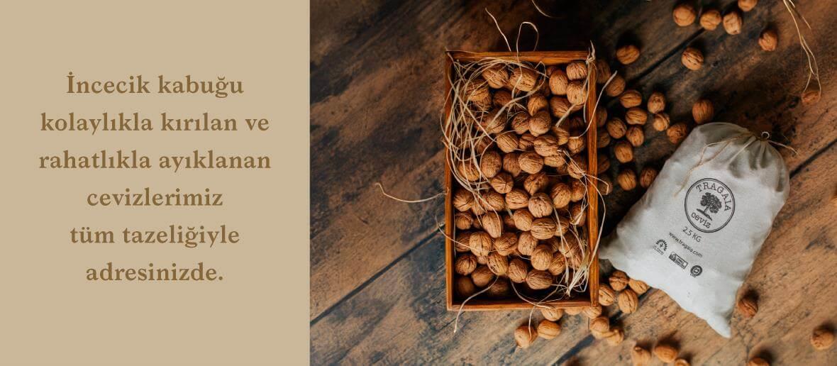 TEMİZ GIDA