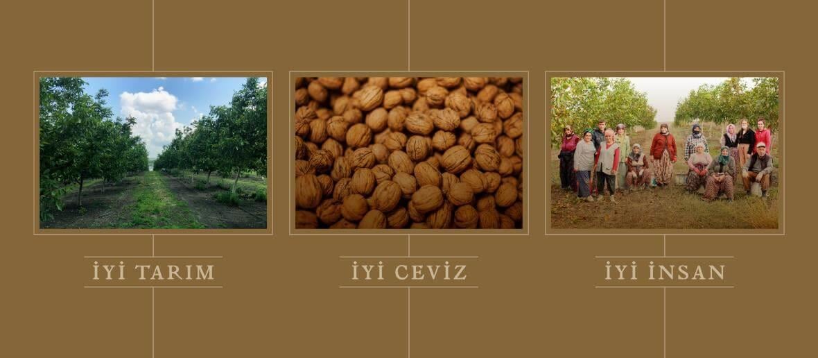 TEMİZ GIDA
