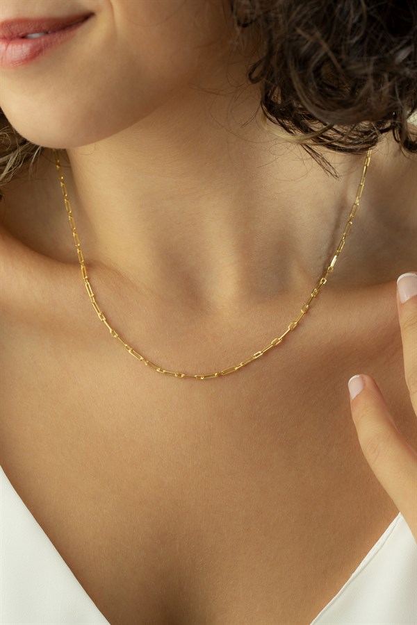 Gümüş Ataç Zincir Kolye