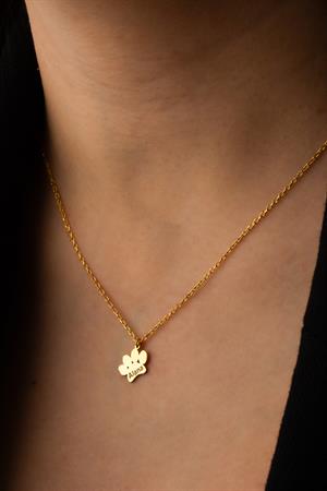 Kadın 925 Ayar Gümüş İsimli Pati Kolye