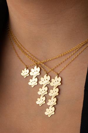 Kadın 925 Ayar Gümüş İsimli Pati Kolye