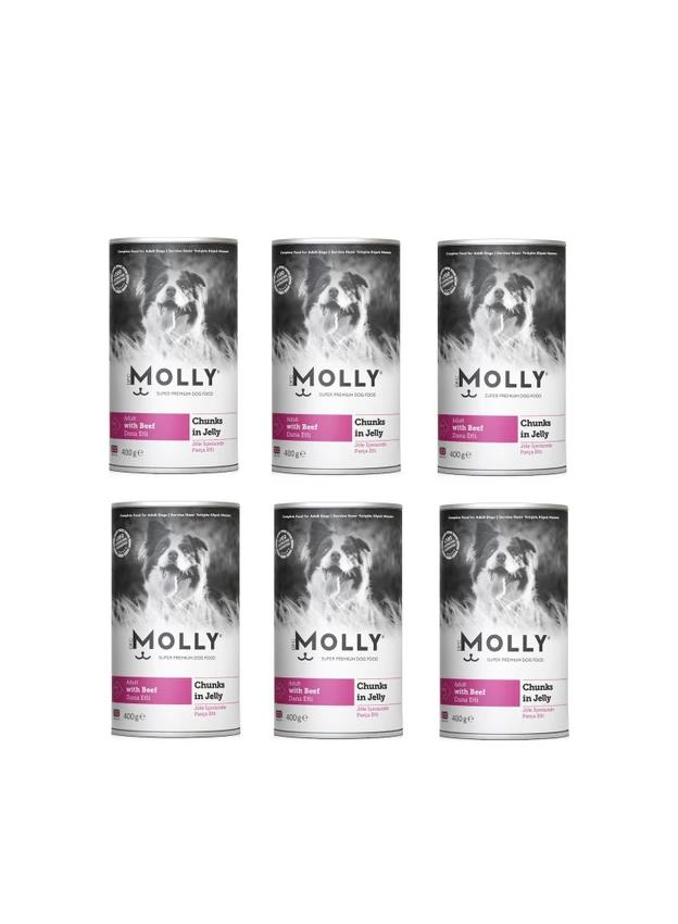 Molly Konserve Yetişkin Köpek Jöleli Biftekli Parça Etli 400 Gr (6 Adet)