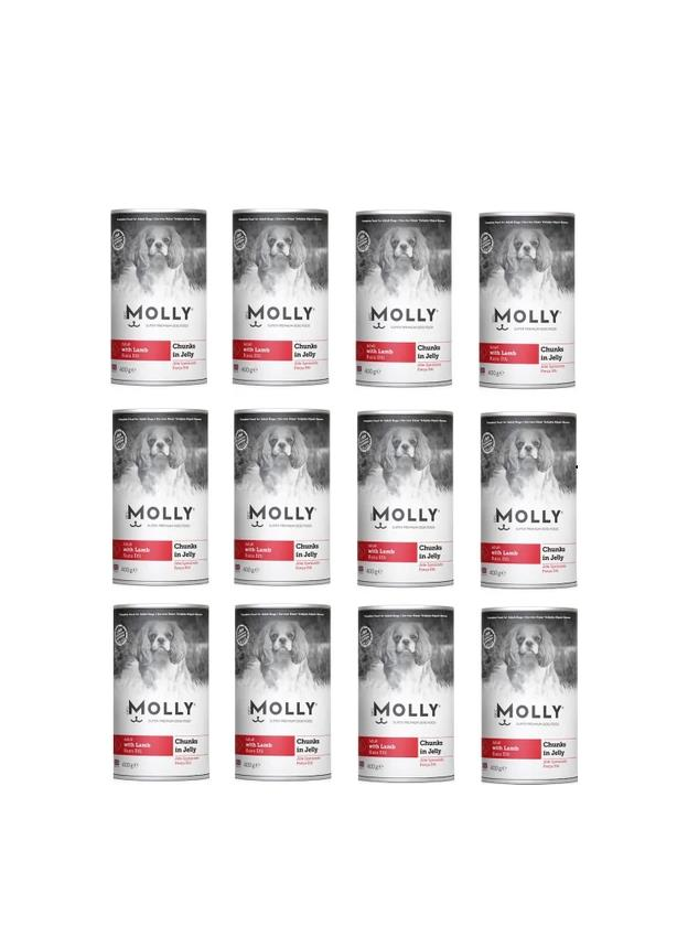Molly Konserve Yetişkin Köpek Jöleli Kuzulu Parça Etli 400 Gr (12 Adet)